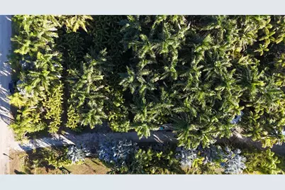 12434 Eagles Nest Drive, Bokeelia, FL 33922 - Photo 23