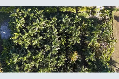 12434 Eagles Nest Drive, Bokeelia, FL 33922 - Photo 21