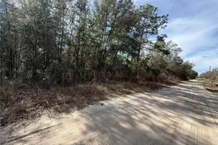 0000 NE 82nd Pl, Bronson, FL 32621 - Photo 1