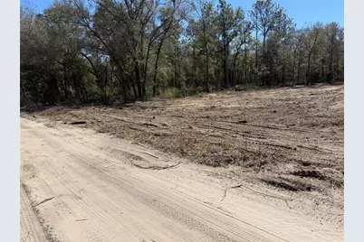 0000 NE 82nd Place, Bronson, FL 32621 - Photo 3