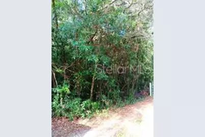 6864 W Ottas Court, Crystal River, FL 34429 - Photo 15