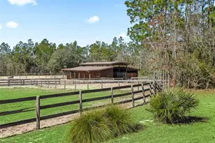 11670 SE 6th St, Williston, FL 32696 - Photo 45