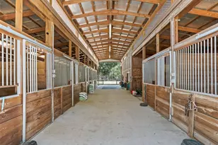 11670 SE 6th St, Williston, FL 32696 - Photo 47