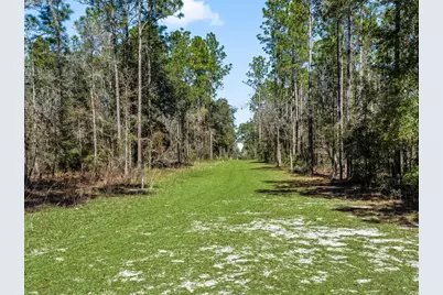 11670 SE 6 Street, Williston, FL 32696 - Photo 57