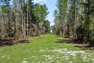 11670 SE 6th St, Williston, FL 32696 - Photo 57