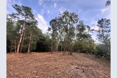 Pantera Ln, Naples, FL 34120 - Photo 29