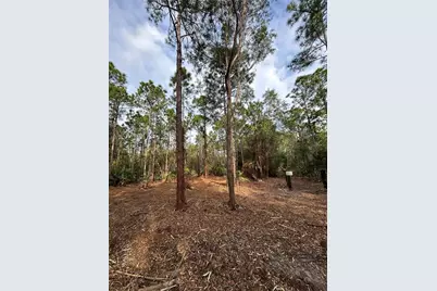 Pantera Ln, Naples, FL 34120 - Photo 39