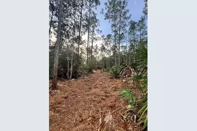 Pantera Ln, Naples, FL 34120 - Photo 3