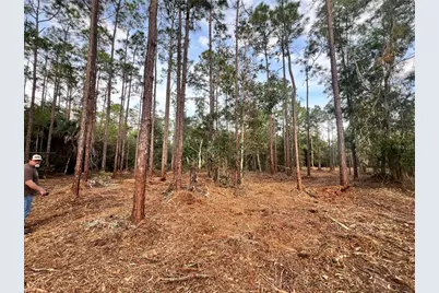 Pantera Ln, Naples, FL 34120 - Photo 47