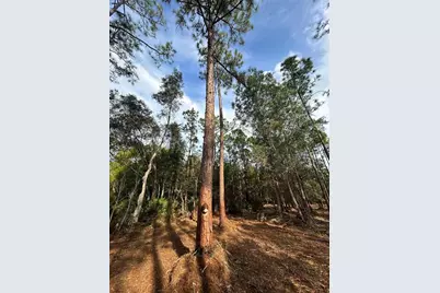 Pantera Ln, Naples, FL 34120 - Photo 37