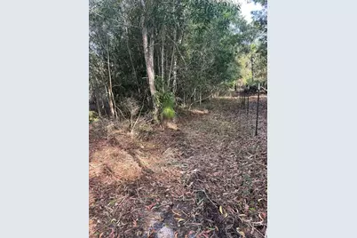 Pantera Ln, Naples, FL 34120 - Photo 35