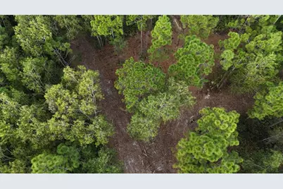 Pantera Ln, Naples, FL 34120 - Photo 9