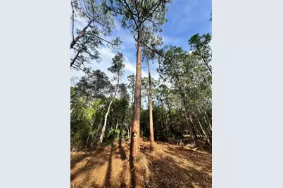 Pantera Ln, Naples, FL 34120 - Photo 49