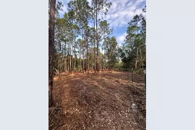 Pantera Ln, Naples, FL 34120 - Photo 21