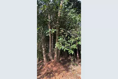 Pantera Ln, Naples, FL 34120 - Photo 33