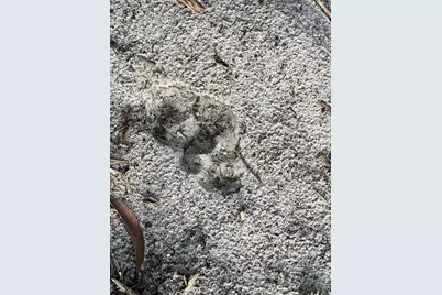 Pantera Ln, Naples, FL 34120 - Photo 41