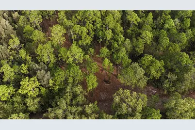 Pantera Ln, Naples, FL 34120 - Photo 11