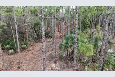 Pantera Ln, Naples, FL 34120 - Photo 15