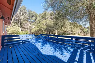 22157 NW 87th Avenue Rd, Micanopy, FL 32667 - Photo 15