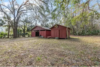 22157 NW 87th Avenue Road, Micanopy, FL 32667 - Photo 23
