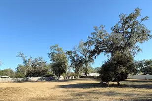 895 SW 80th Ave, Ocala, FL 34481 - Photo 13