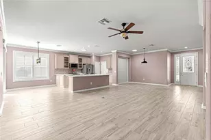 9256 SW 66th Loop, Ocala, FL 34481 - Photo 11