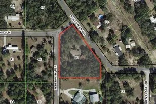 4830 N Western Dr, Hernando, FL 34442 - Photo 33