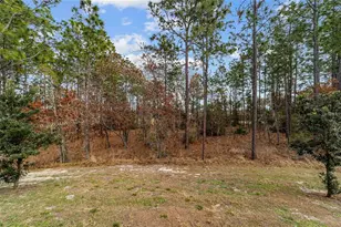 227 Hickory Crse, Ocala, FL 34472 - Photo 53