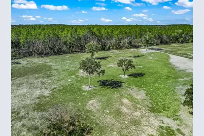 11670 SE 6th Street, Williston, FL 32696 - Photo 75