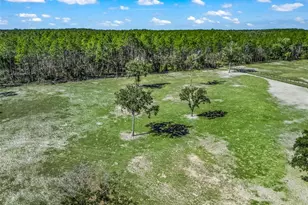 11670 SE 6th St, Williston, FL 32696 - Photo 75