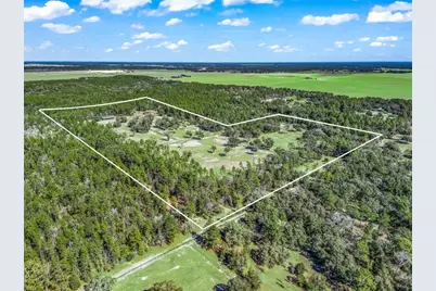 11670 SE 6th Street, Williston, FL 32696 - Photo 69