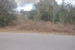 0 NW 55th Ave, Ocala, FL 34482 - Photo 1