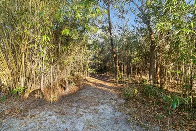 5336 SW 109th Place Road, Ocala, FL 34476 - Photo 39