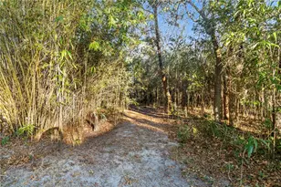 5336 SW 109th Place Rd, Ocala, FL 34476 - Photo 39