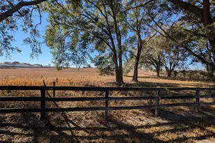 9573 SW 53rd Cir, Ocala, FL 34476 - Photo 15