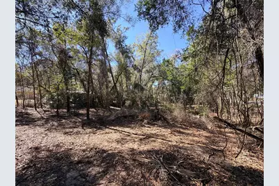 3910 E Scotty Street, Inverness, FL 34453 - Photo 3