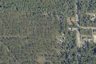 Malauka Pass Crse, Ocklawaha, FL 32179 - Photo 1