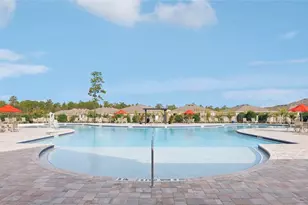 11377 Curio Dr, Brooksville, FL 34613 - Photo 23