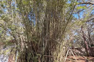 16278 NE 138th Ct, Fort Mc Coy, FL 32134 - Photo 21