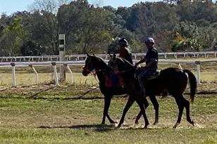 12020 N US Hwy 441, Ocala, FL 34475 - Photo 19