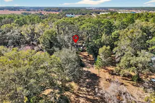 1741 N Crooked Branch Dr, Lecanto, FL 34461 - Photo 49
