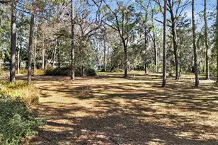 1741 N Crooked Branch Dr, Lecanto, FL 34461 - Photo 41