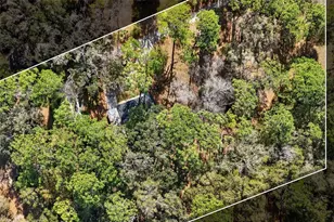 1741 N Crooked Branch Dr, Lecanto, FL 34461 - Photo 49