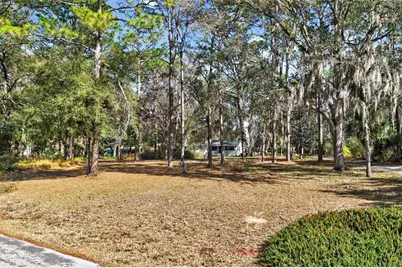 1741 N Crooked Branch Drive, Lecanto, FL 34461 - Photo 43