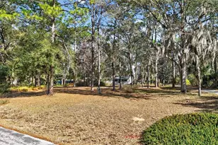 1741 N Crooked Branch Dr, Lecanto, FL 34461 - Photo 43