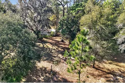 1741 N Crooked Branch Drive, Lecanto, FL 34461 - Photo 51