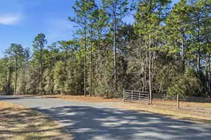 8780 S Deerstalker Terrace, Inverness, FL 34452 - Photo 35