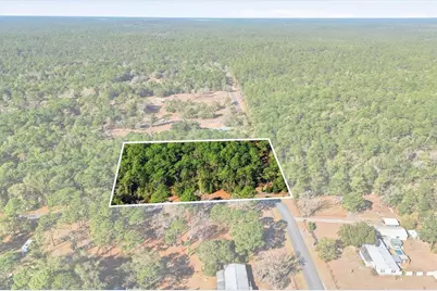 8780 S Deerstalker Terrace, Inverness, FL 34452 - Photo 3