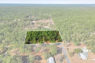 8780 S Deerstalker Terrace, Inverness, FL 34452 - Photo 3