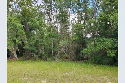 8650 SW 138 Lane, Ocala, FL 34473 - Photo 3